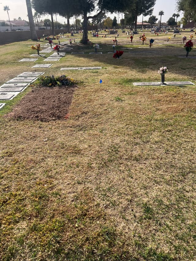 Featured Listing: Valley of the Sun Plot for Sale: CB-004786